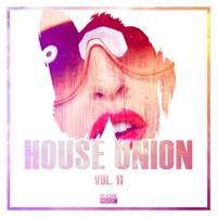 House Union, Vol. 11