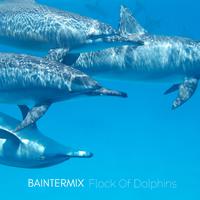 Flock of Dolphins