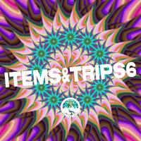 Items & Trips 6