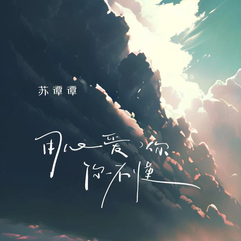 用心爱你你不懂封面