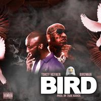 Bird (feat. Birdman)