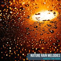 Nature Rain Melodies - Amidst the Rain