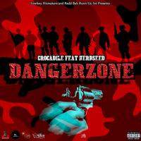 Danger Zone (feat. Herbseed)