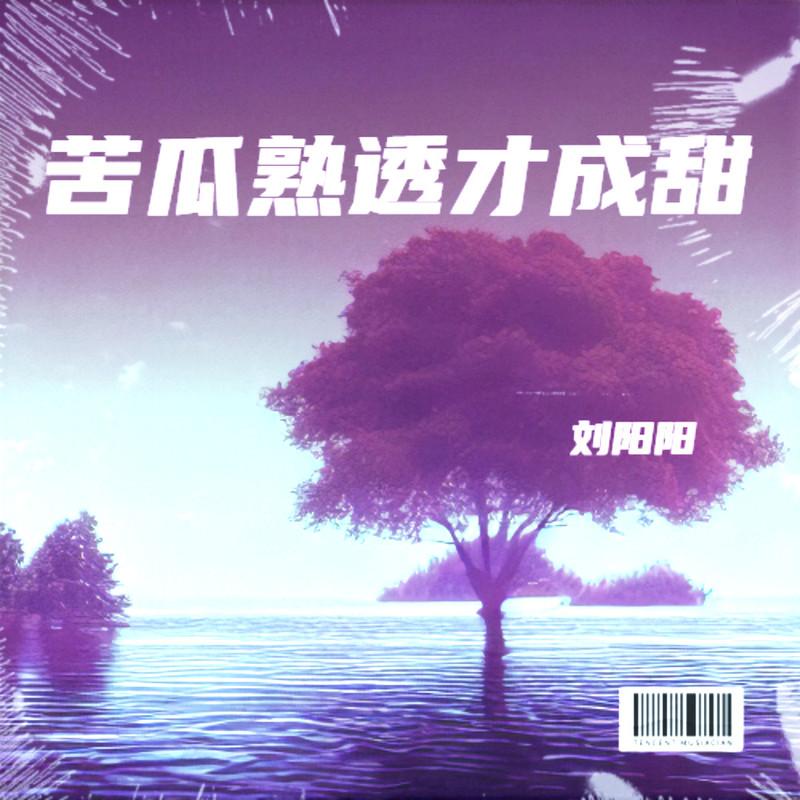 苦瓜熟透才成甜-DJ小刚广场舞 (广场舞Demo|DJ小刚版) - 刘阳阳封面