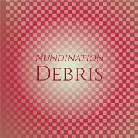 Nundination Debris