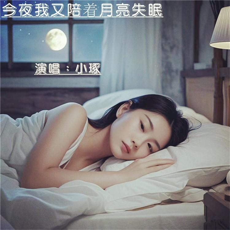 今夜我又陪着月亮失眠 (伴奏)封面