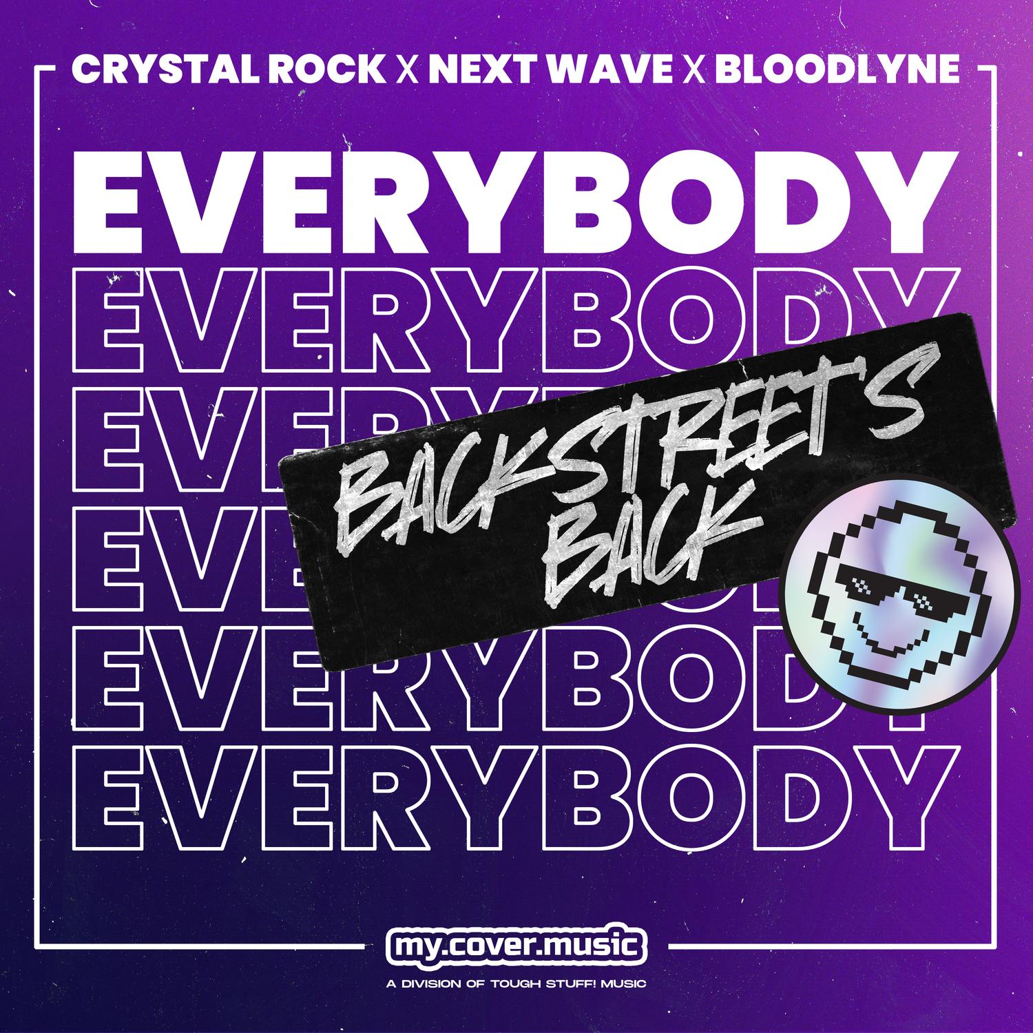 everybody (backstreet's back)