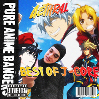 Best Of J-Core