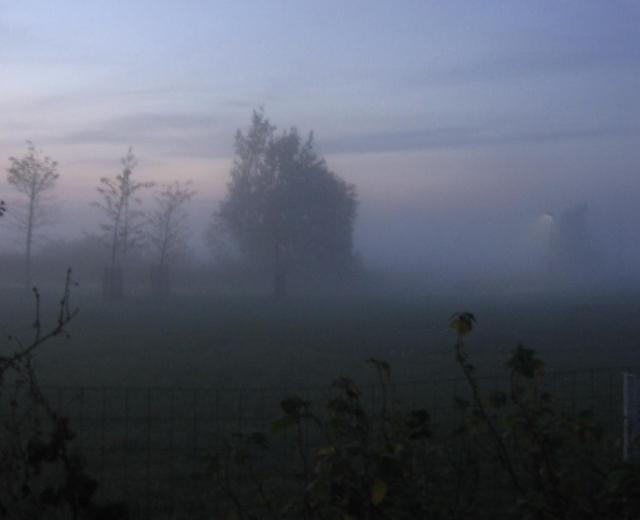 Frozen Silence