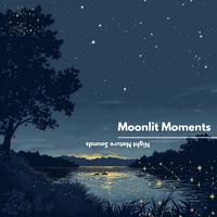 Moonlit Moments: Relaxing Nighttime Ambiance