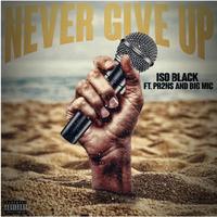 Never Give Up (feat. Pr2ns & BIG MIC)