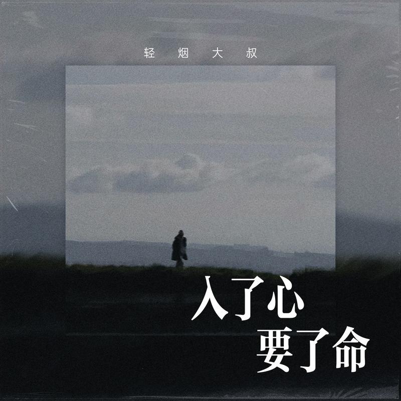 入了心要了命封面