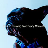 Music for Dogs Moments