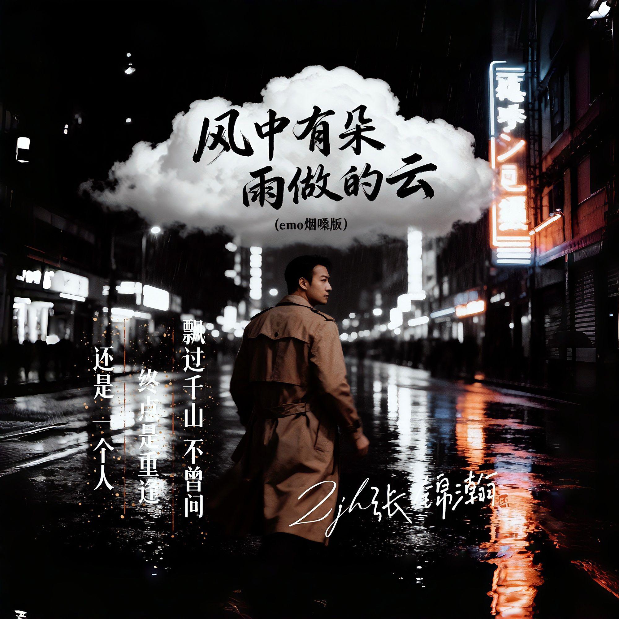 风中有朵雨做的云(emo烟嗓版) 伴奏版封面