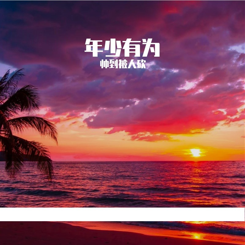 年少有为 伴奏 - 帅到被人砍封面