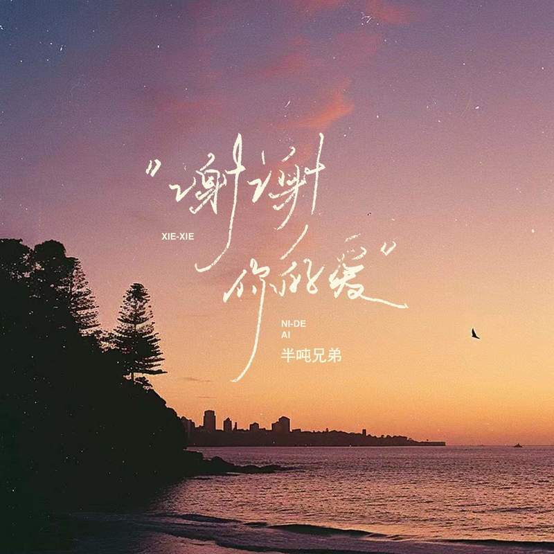 谢谢你的爱 (烟嗓版)封面