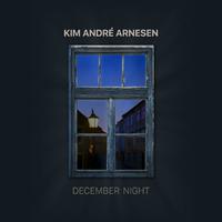 Arnesen: December Night