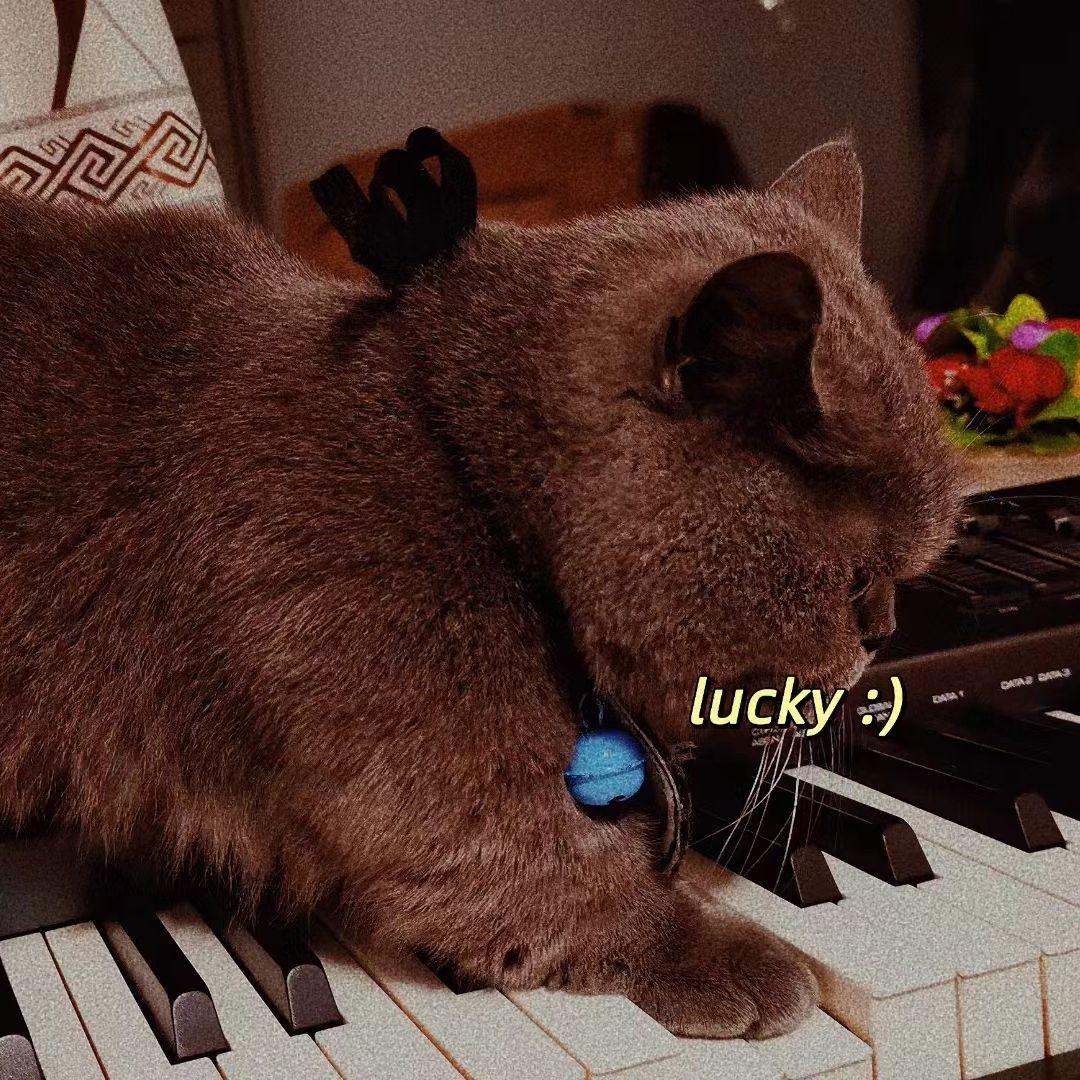 宇多田ヒカル-First Love（XD-Mumu remix）