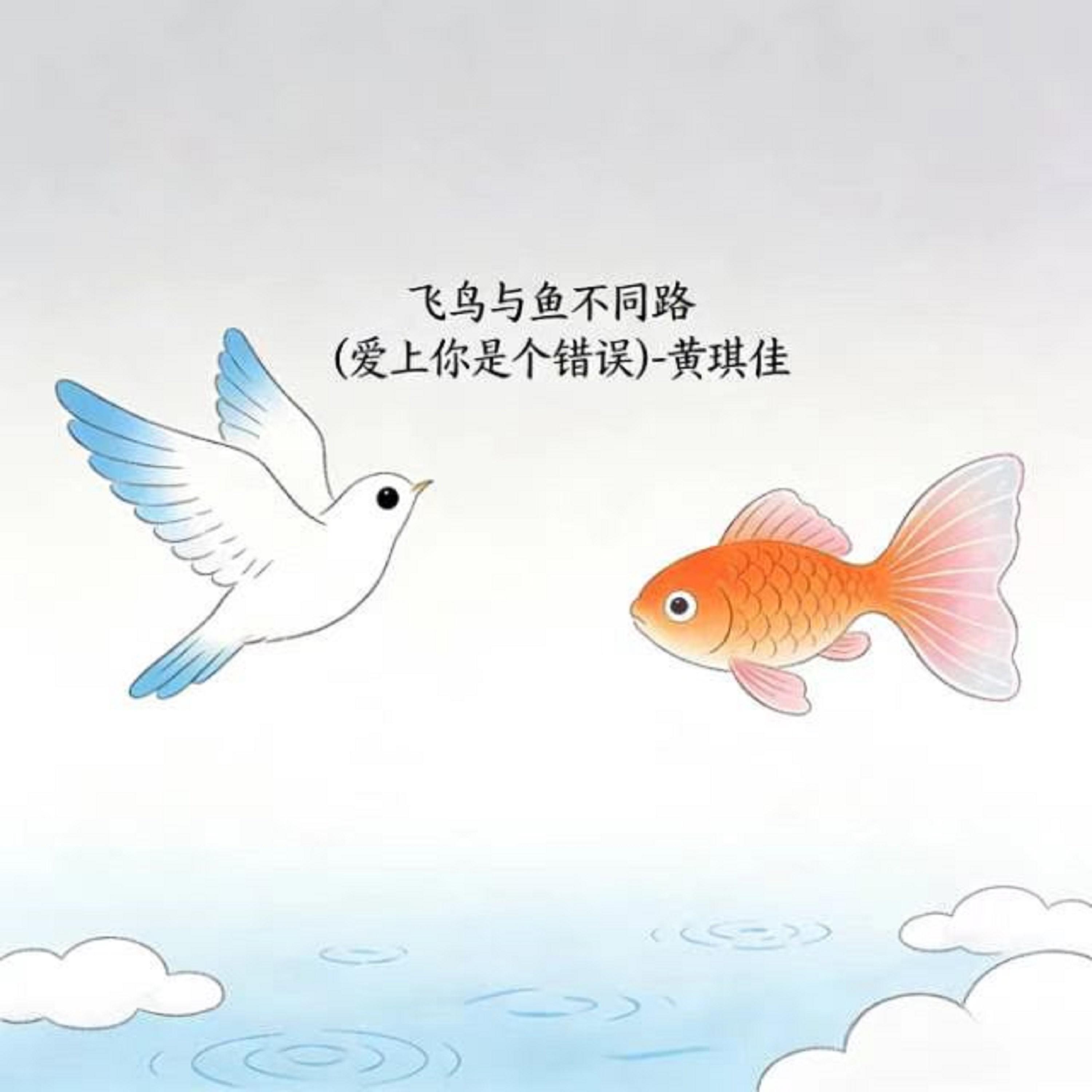飞鸟与鱼不同路 (烟嗓版) - 黄琪佳封面