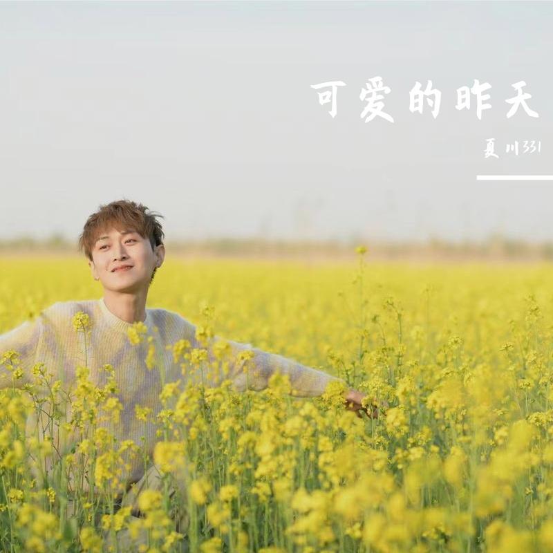 鲛人之歌封面