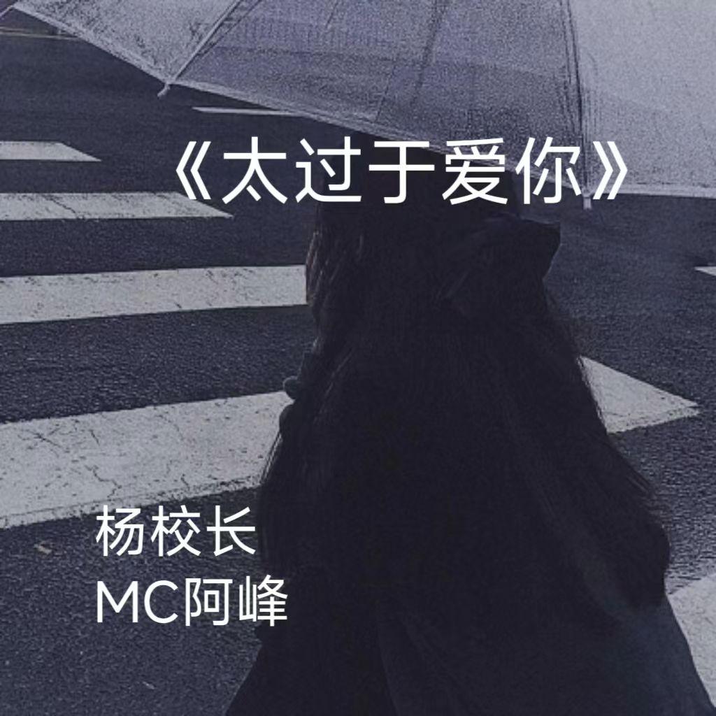 太过于爱你封面