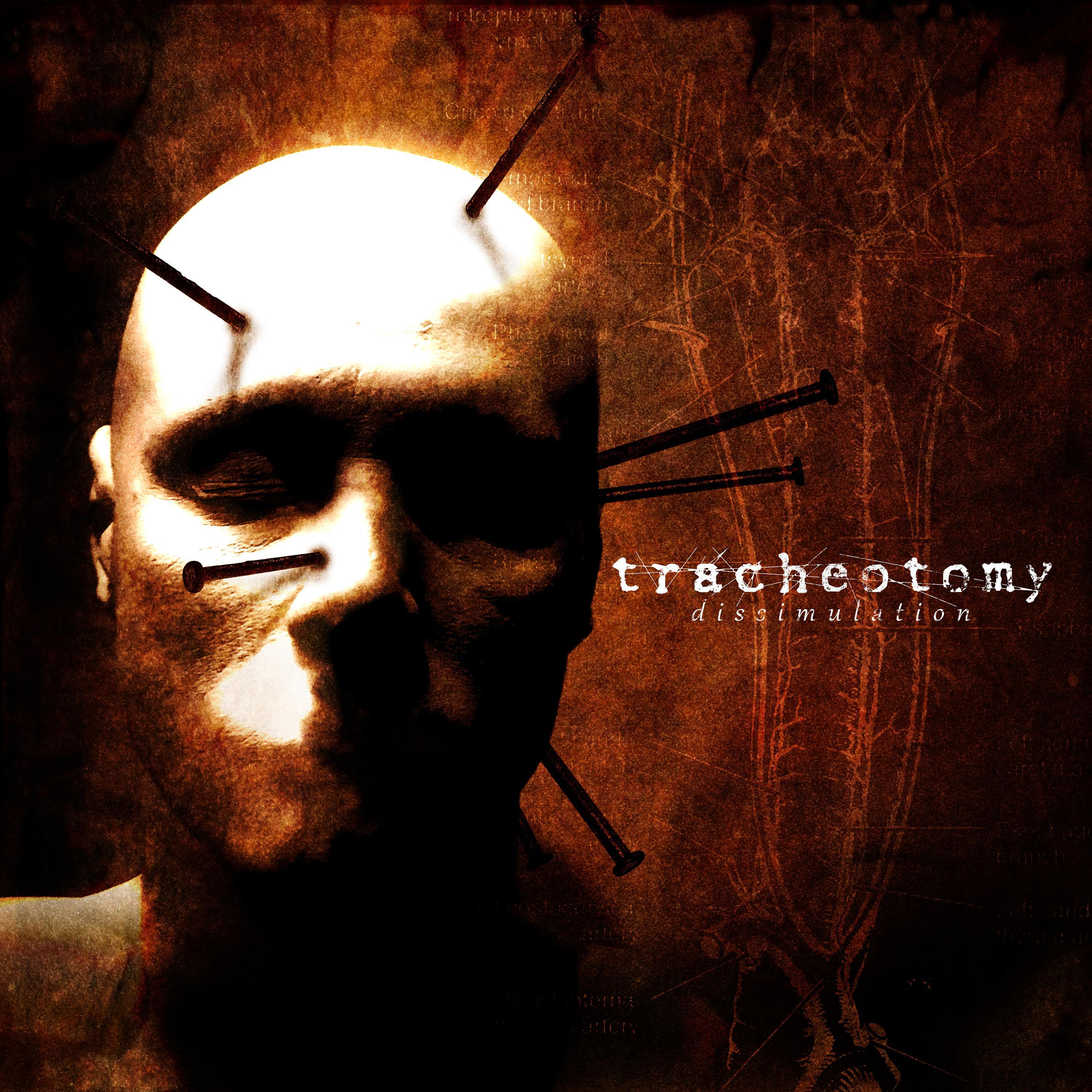 Wasted Evolution (feat. Adam Warren)