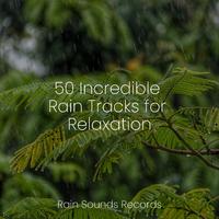 50 Incredible Rain Tracks for Relaxation