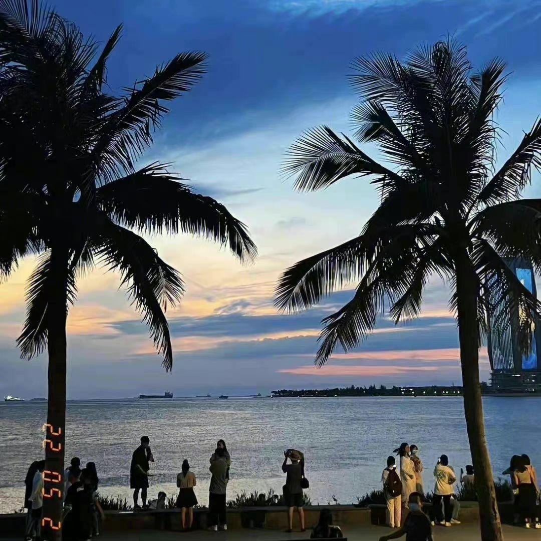 临床治疗封面