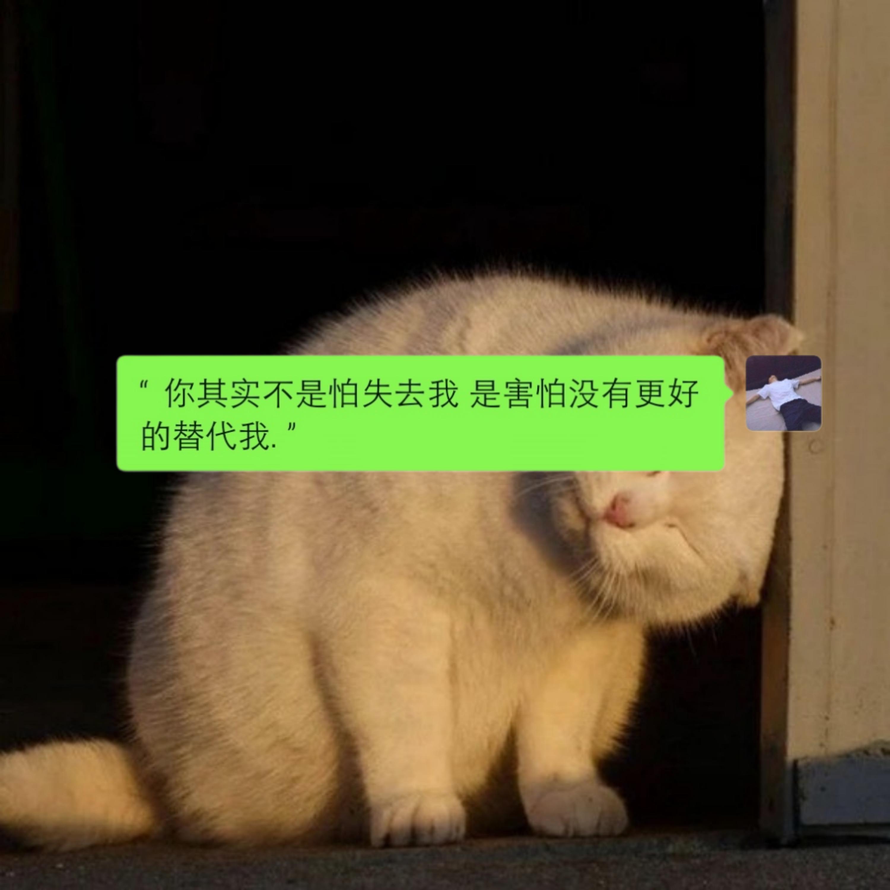 我好想你 (DJ热播)