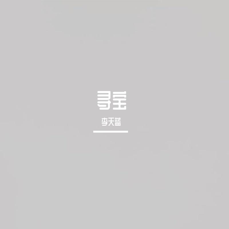 寻宝封面