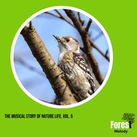 The Musical Story of Nature Life, Vol. 5