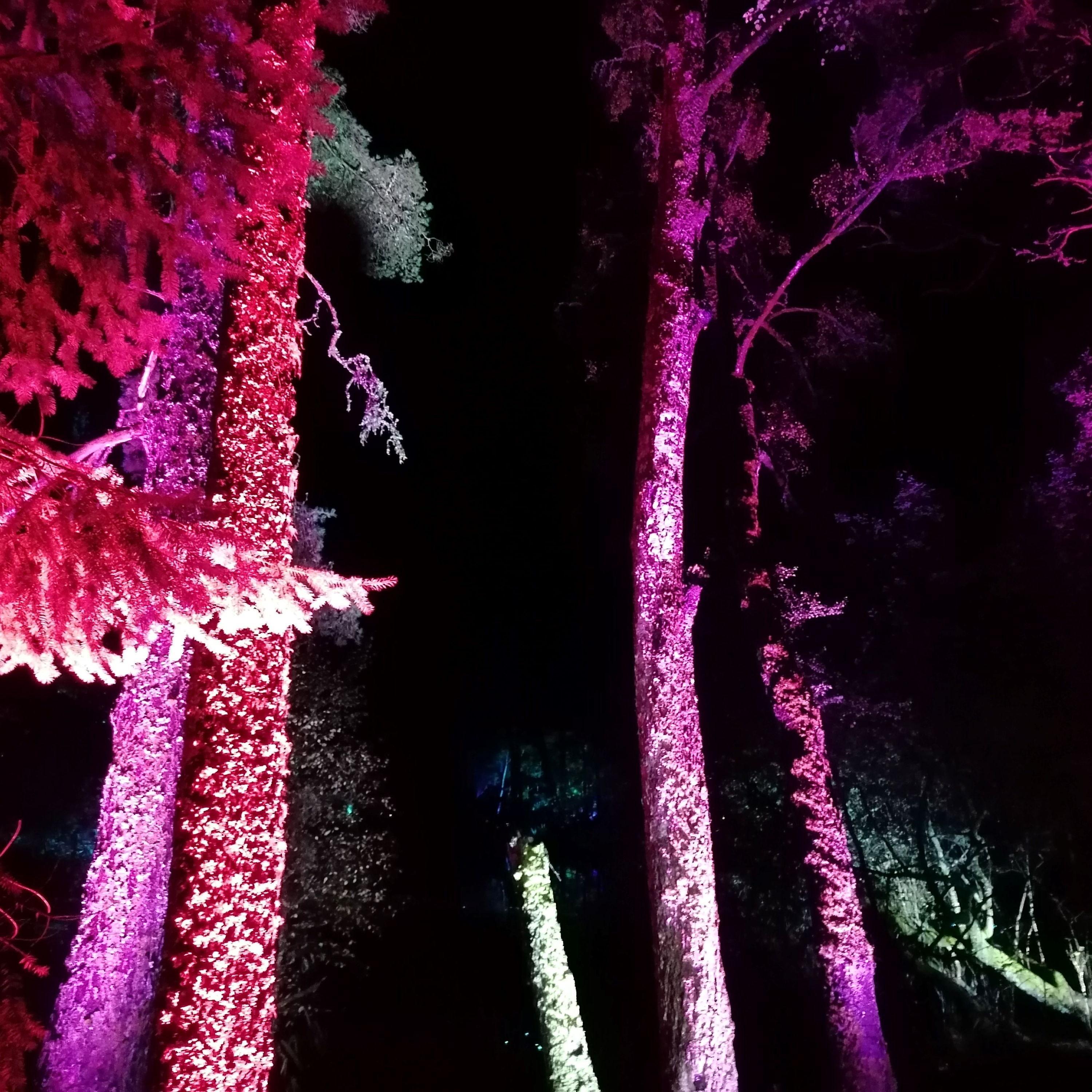 The Sun Will Always Rise