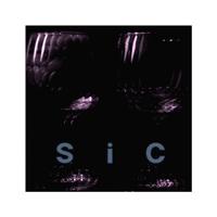 SiC