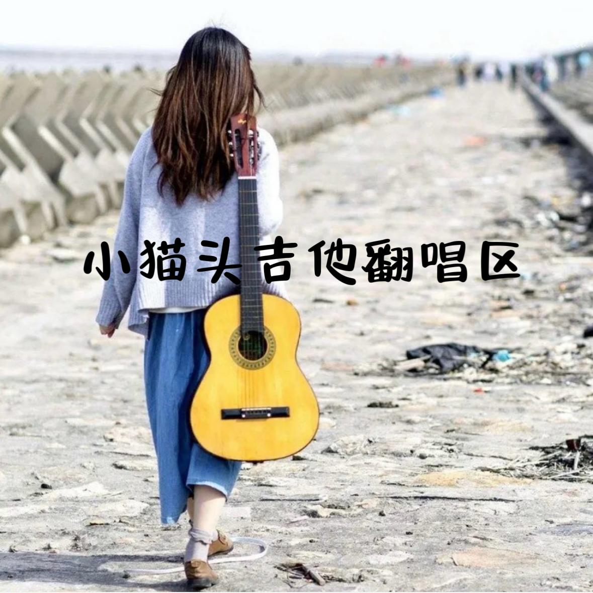 那些花儿(女声弹唱版)_小猫头封面
