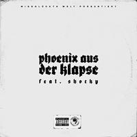 Phoenix aus der Klapse