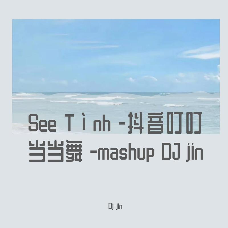 See Tình -抖音叮叮当当舞 （Dj-jin remix）
