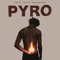 AMIR TRIPP