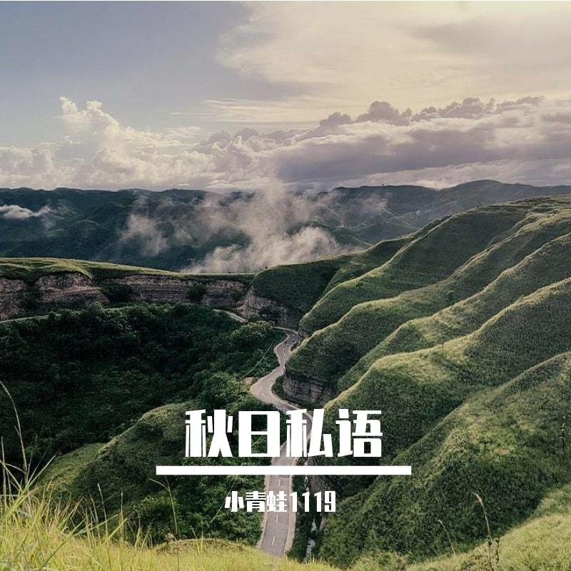 相遇在花开封面