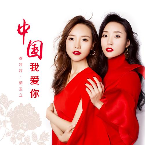 中国我爱你封面
