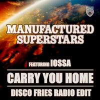 Carry You Home (Disco Fries Radio Edit)