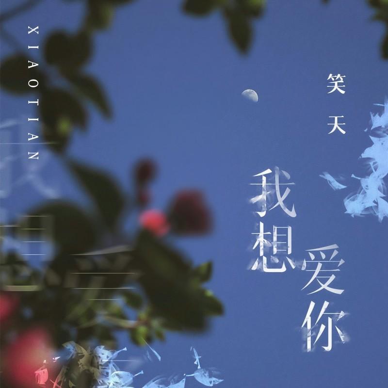 我想爱你封面