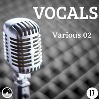 Vocals 17 Various 02