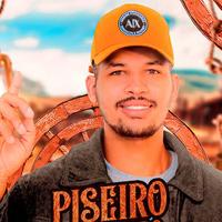 Bibi do Piseiro资料,Bibi do Piseiro最新歌曲,Bibi do PiseiroMV视频,Bibi do Piseiro音乐专辑,Bibi do Piseiro好听的歌