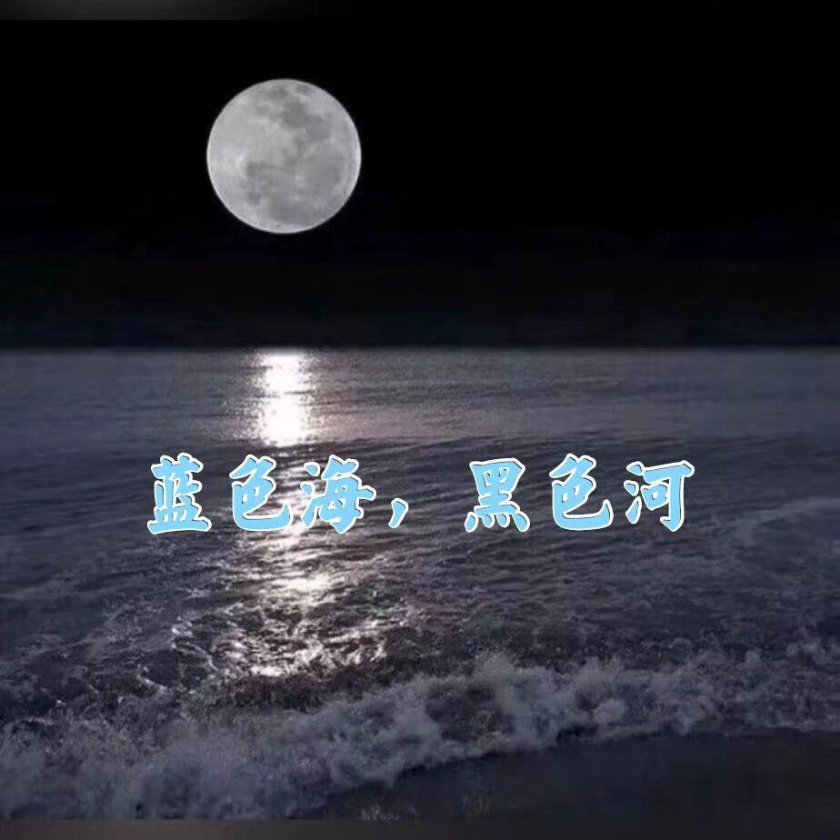 蓝色海，黑色河（翻自 张有道）封面