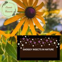 Smoggy Insects in Nature