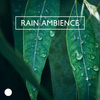 Rain Ambience: Nature Sounds Collection