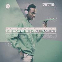 The House Survival Toolkit, Vol. 10