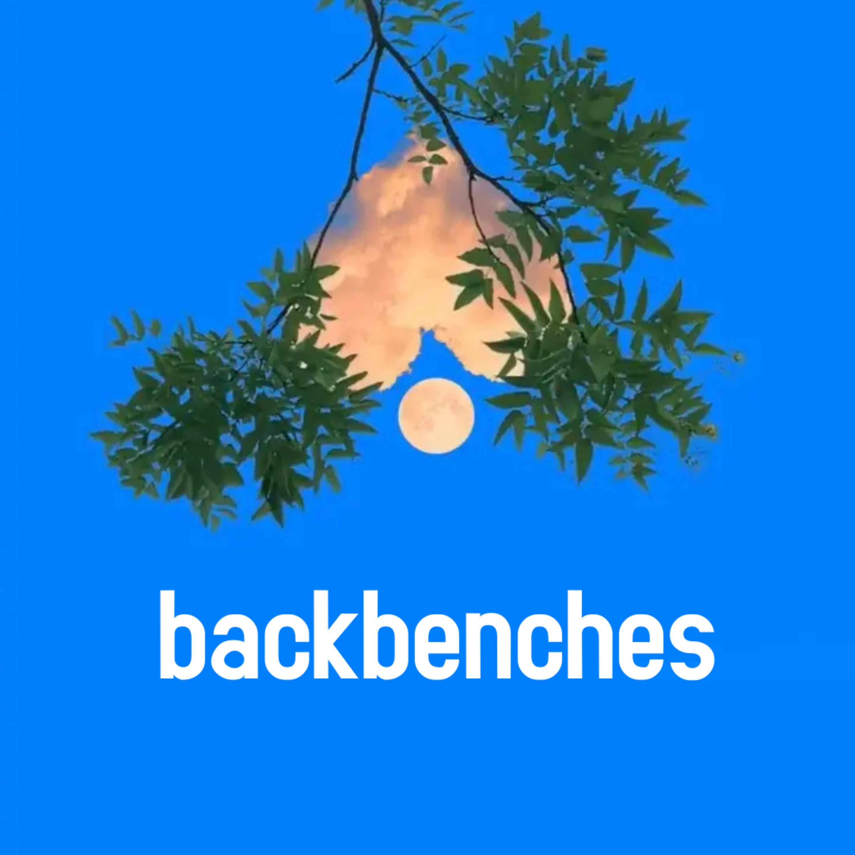 backbenches