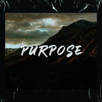 Purpose