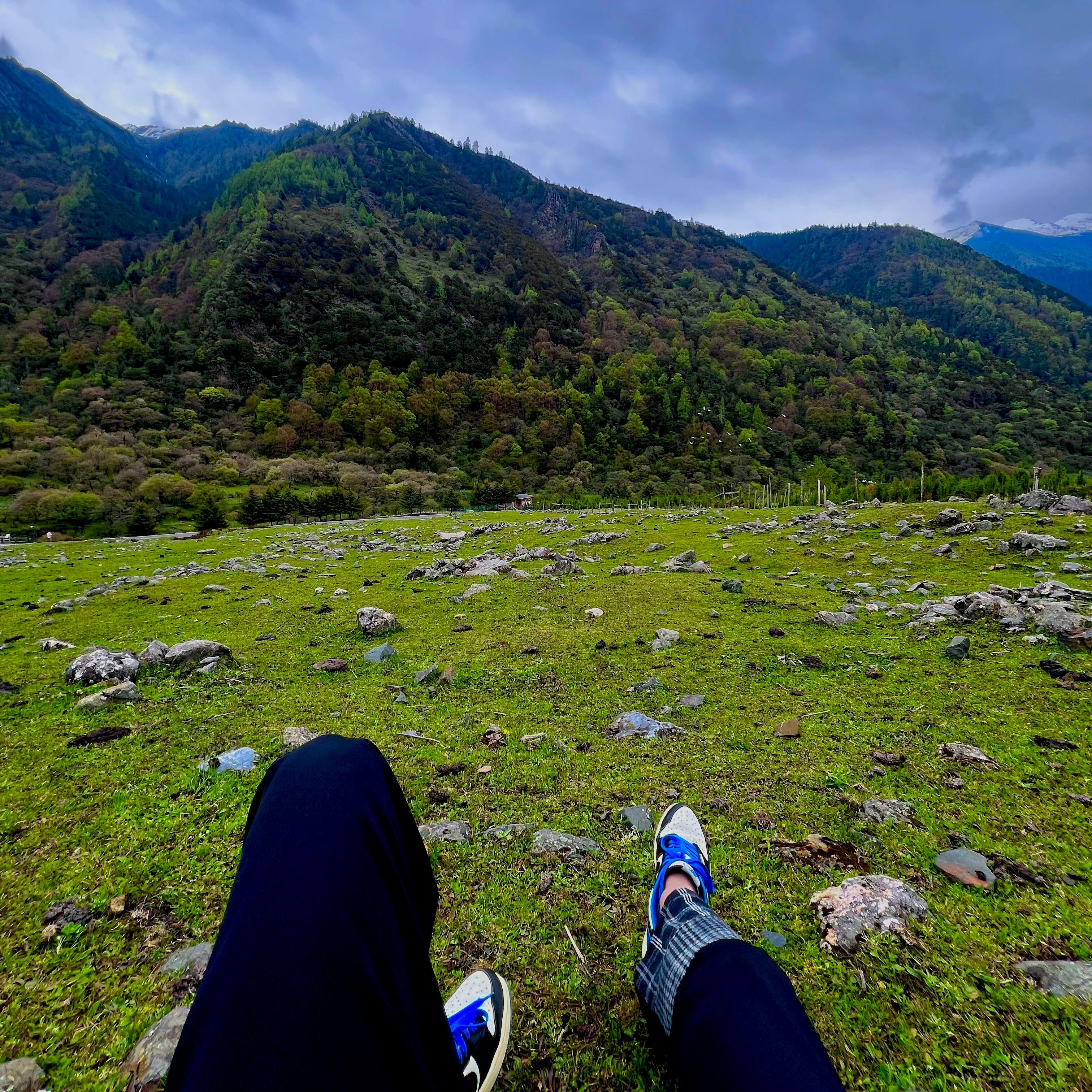 《天亮以前说再见》